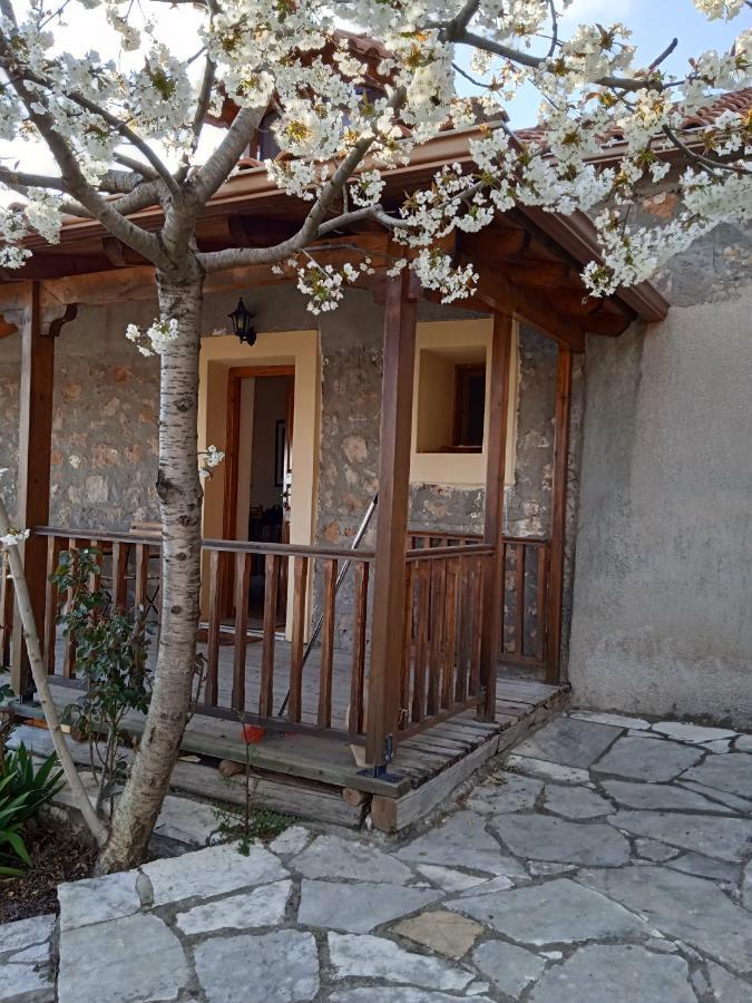 Arcadianis Lakeview Villa At Psari Arkadias Psárion Екстериор снимка